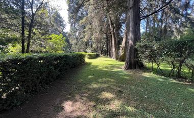 Terreno en Tepetlixpa, Estado de México