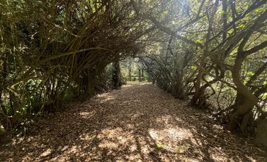 Terreno en Tepetlixpa, Estado de México