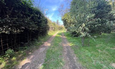 Terreno en Tepetlixpa, Estado de México