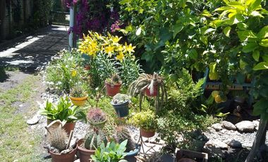 Casa en venta - 1 Dormitorio 1 Baño - 300Mts2 - Quequén