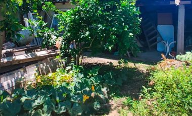 Casa en venta - 4 Dormitorios 4 Baños - 493mts2 - Moreno