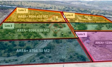 TERRENO INDUSTRIAL EN RENTA EN SALINAS VICTORIA