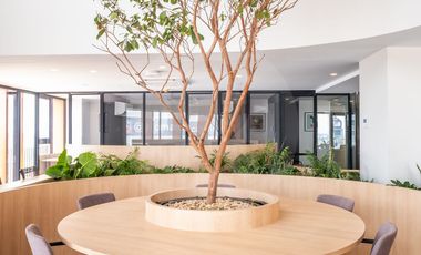 Departamento en renta en Juárez