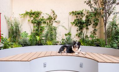 Departamento en renta en Juárez