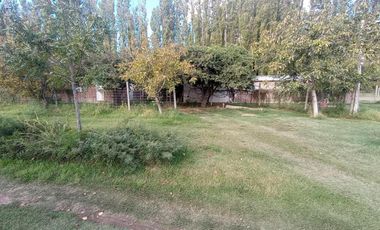 Complejo de cabañas en venta - 8 UFs - 7700mts2 - Neuquen