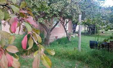 Complejo de cabañas en venta - 8 UFs - 7700mts2 - Neuquen