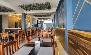 El Lienzo en Blanco para tu Éxito: 170 m² en el Corazón Comercial de Nueva Oxtot