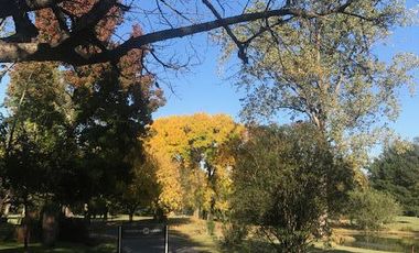 CASA EN VENTA EN C.C. LOS HORNEROS - MAROTO PROPIEDADES-