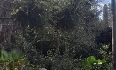 Casa en venta - 2 Dormitorios 1 Baño - Benavidez