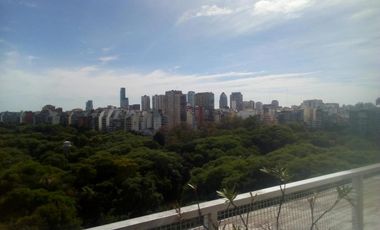 Departamento - Botanico