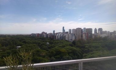 Departamento - Botanico