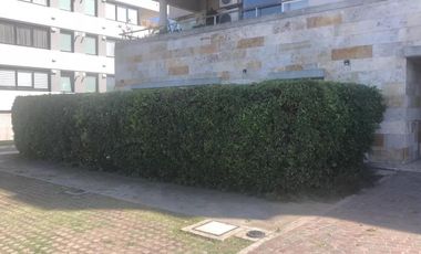 PH en venta - 2 Dormitorios 2 Baños - Cochera - 161Mts2 - Quilmes