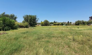 Alquilo Terreno en  Costanera altura Puente Zipoli y Sagrada Familia