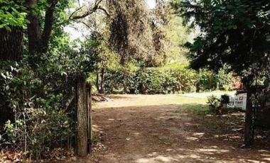 Casa en venta - 3 Dormitorios 2 Baños - Cochera - 800Mts2 - Arturo Seguí