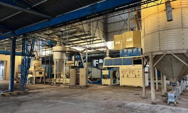 Galpón en venta - 2 Naves - Chivilcoy
