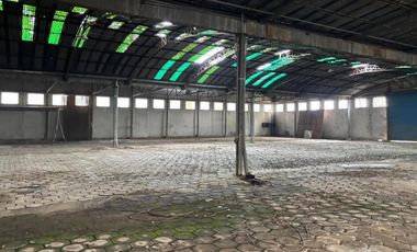Galpón en venta - 2 Naves - Chivilcoy