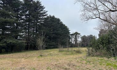 Galpón en venta - 2 Naves - Chivilcoy