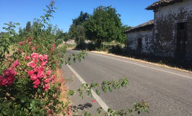 Vendo 34 has agrícolas en Villa Alegre, Maule.