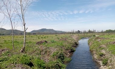 Vendo 34 has agrícolas en Villa Alegre, Maule.