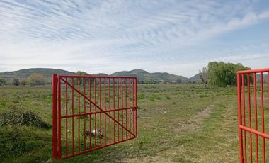 Vendo 34 has agrícolas en Villa Alegre, Maule.