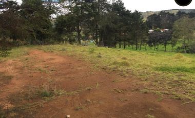 Terreno de venta en Tarqui  – código:22147