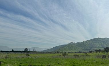 PARECELAS DISPONIBLES EN POLO TALANQUEN SECTOR LIRAY