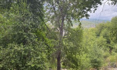 SE VENDE SITIO DE 5000 METROS, CERCA DE 7 TAZAS