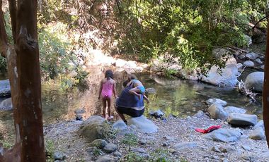 SE VENDE SITIO DE 5000 METROS, CERCA DE 7 TAZAS