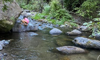 SE VENDE SITIO DE 5000 METROS, CERCA DE 7 TAZAS