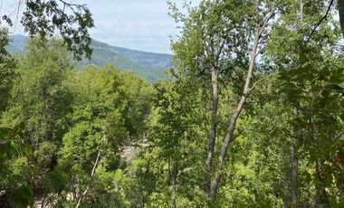 SE VENDE SITIO DE 5000 METROS, CERCA DE 7 TAZAS