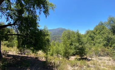 SE VENDE SITIO DE 5000 METROS, CERCA DE 7 TAZAS