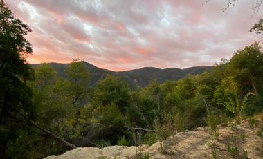 SE VENDE SITIO DE 5000 METROS, CERCA DE 7 TAZAS