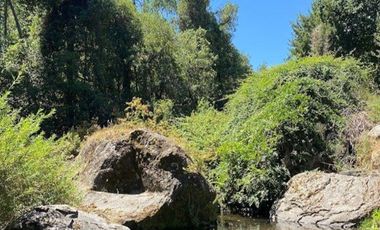 SE VENDE SITIO DE 5000 METROS, CERCA DE 7 TAZAS