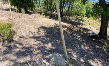 SE VENDE SITIO DE 5000 METROS, CERCA DE 7 TAZAS