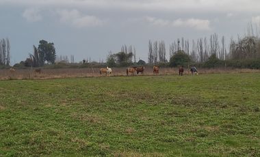 VENTA DE PARCELAS EN LONGAVÍ CON ROL PROPIO