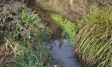 VENTA DE PARCELAS EN LONGAVÍ CON ROL PROPIO