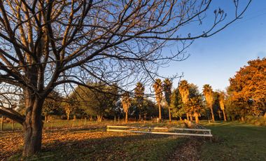 VENTA DE PARCELAS EN LONGAVÍ CON ROL PROPIO