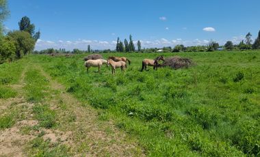 VENTA DE PARCELAS EN LONGAVÍ CON ROL PROPIO