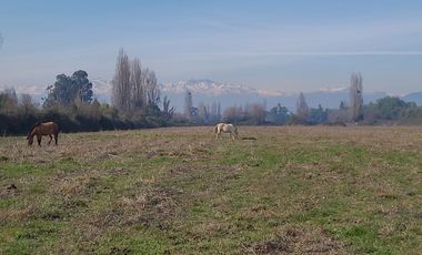 VENTA DE PARCELAS EN LONGAVÍ CON ROL PROPIO