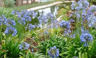 Departamento Barrio Golf