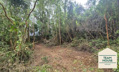 Cayumapu, Orilla de Río, 10.400 Mts2