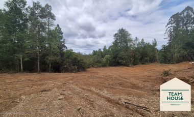 Cayumapu, Orilla de Río, 10.400 Mts2