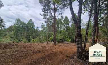 Cayumapu, Orilla de Río, 10.400 Mts2