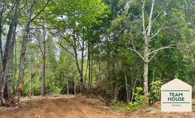 Cayumapu, Orilla de Río, 10.400 Mts2