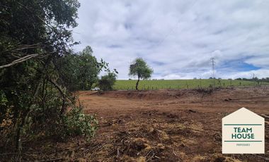 Cayumapu, Orilla de Río, 10.400 Mts2