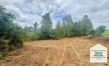 Cayumapu, Orilla de Río, 10.400 Mts2