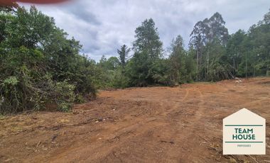 Cayumapu, Orilla de Río, 10.400 Mts2