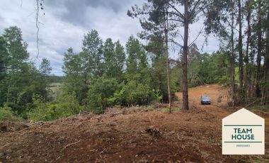 Cayumapu, Orilla de Río, 10.400 Mts2