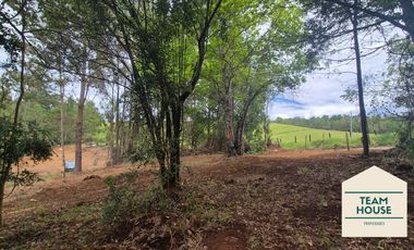 Cayumapu, Orilla de Río, 10.400 Mts2