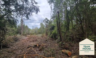 Cayumapu, Orilla de Río, 10.400 Mts2